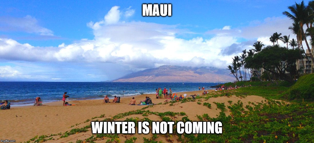 Winter is not coming | MAUI; WINTER IS NOT COMING | image tagged in winter is coming | made w/ Imgflip meme maker