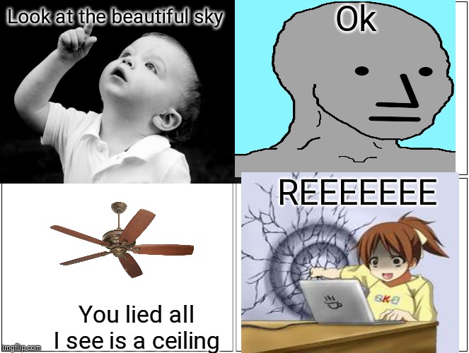 Ok; Look at the beautiful sky; REEEEEEE; You lied all I see is a ceiling | image tagged in ceiling fan | made w/ Imgflip meme maker
