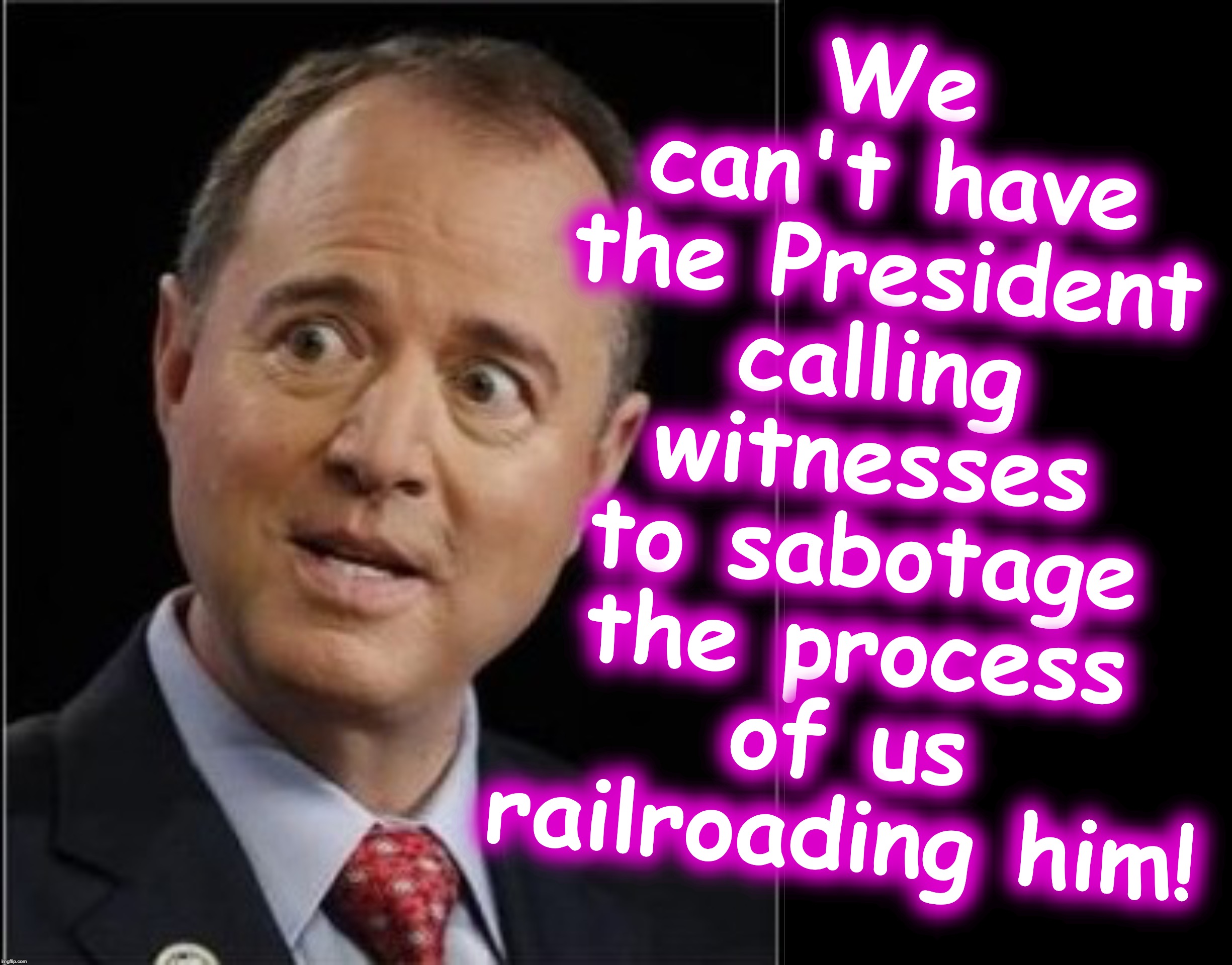calling all kangaroos | We can't have the President calling witnesses to sabotage the process of us railroading him! | image tagged in black box,adam schiff | made w/ Imgflip meme maker