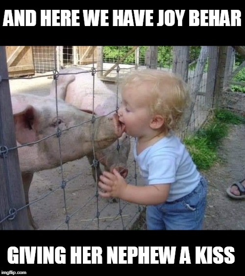 behar the horrible | AND HERE WE HAVE JOY BEHAR; GIVING HER NEPHEW A KISS | image tagged in the view,joy behar,tulsi would kick her ass | made w/ Imgflip meme maker