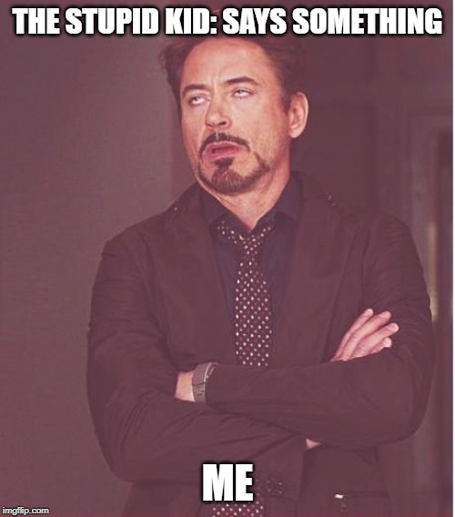 Face You Make Robert Downey Jr Meme | THE STUPID KID: SAYS SOMETHING; ME | image tagged in memes,face you make robert downey jr | made w/ Imgflip meme maker