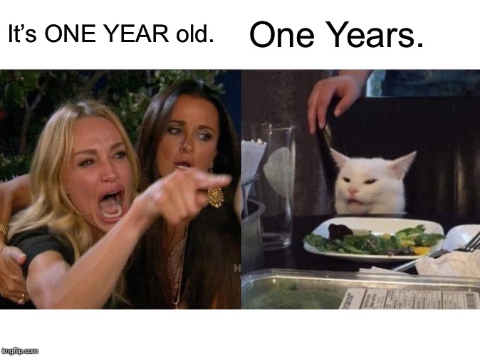Woman Yelling At Cat | It’s ONE YEAR old. One Years. | image tagged in memes,woman yelling at cat | made w/ Imgflip meme maker