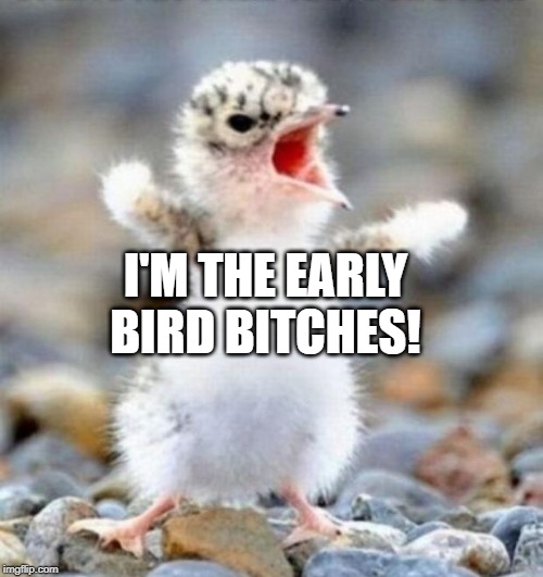Early Bird!!! | I'M THE EARLY BIRD B**CHES! | image tagged in early bird | made w/ Imgflip meme maker