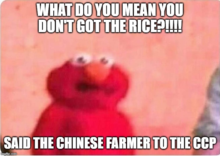 Sickened elmo | WHAT DO YOU MEAN YOU DON'T GOT THE RICE?!!!! SAID THE CHINESE FARMER TO THE CCP | image tagged in sickened elmo | made w/ Imgflip meme maker