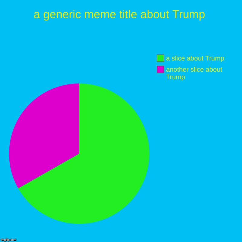 A pie chart about Trump | a generic meme title about Trump | another slice about Trump, a slice about Trump | image tagged in charts,pie charts | made w/ Imgflip chart maker
