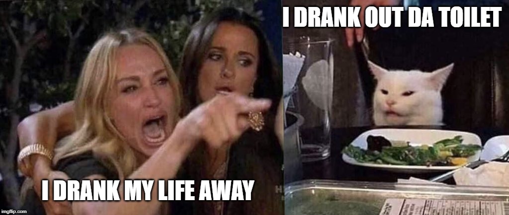 woman yelling at cat | I DRANK OUT DA TOILET; I DRANK MY LIFE AWAY | image tagged in woman yelling at cat | made w/ Imgflip meme maker