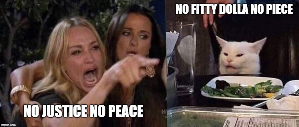 woman yelling at cat | NO FITTY DOLLA NO PIECE; NO JUSTICE NO PEACE | image tagged in woman yelling at cat | made w/ Imgflip meme maker