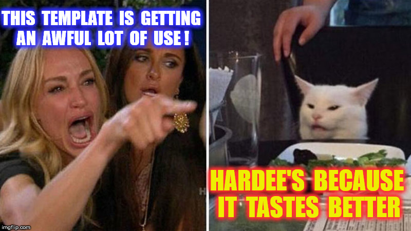 THIS  TEMPLATE  IS  GETTING  AN  AWFUL  LOT  OF  USE ! HARDEE'S  BECAUSE  IT  TASTES  BETTER | made w/ Imgflip meme maker