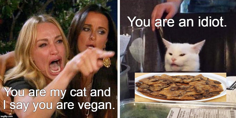 Smudge the cat | You are an idiot. You are my cat and 
I say you are vegan. | image tagged in smudge the cat | made w/ Imgflip meme maker