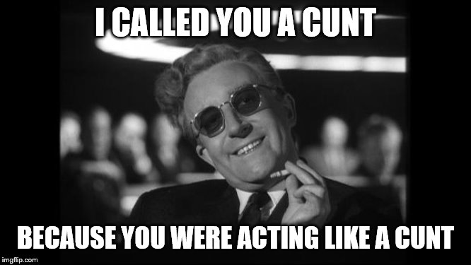 dr strangelove | I CALLED YOU A C**T BECAUSE YOU WERE ACTING LIKE A C**T | image tagged in dr strangelove | made w/ Imgflip meme maker