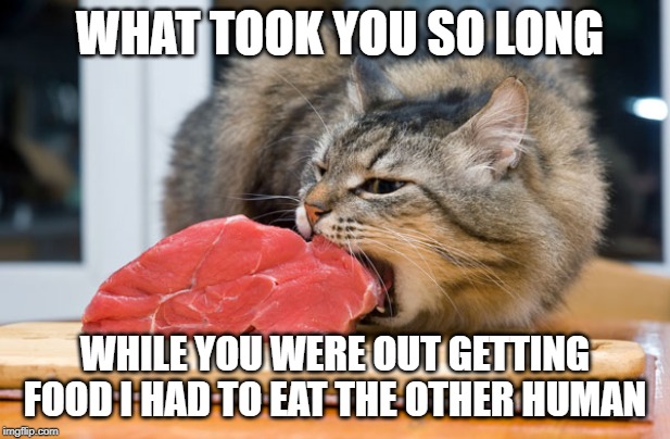 Hungry cat | WHAT TOOK YOU SO LONG; WHILE YOU WERE OUT GETTING FOOD I HAD TO EAT THE OTHER HUMAN | image tagged in hungry cat | made w/ Imgflip meme maker