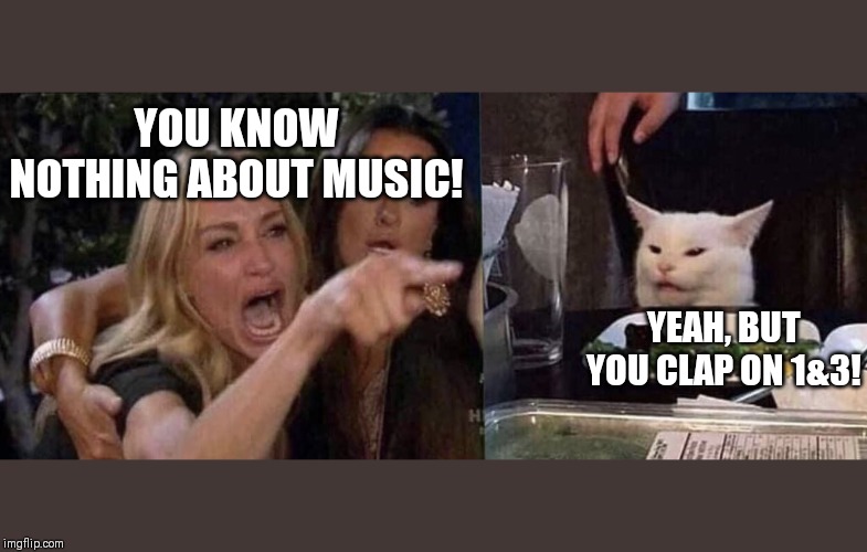 woman yelling at cat | YOU KNOW NOTHING ABOUT MUSIC! YEAH, BUT YOU CLAP ON 1&3! | image tagged in woman yelling at cat | made w/ Imgflip meme maker