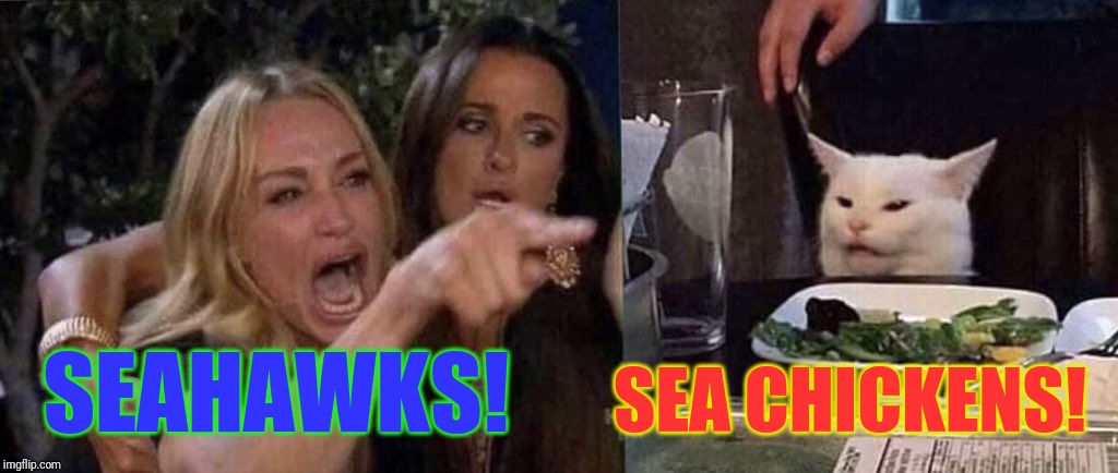 woman yelling at cat | SEA CHICKENS! SEAHAWKS! | image tagged in woman yelling at cat | made w/ Imgflip meme maker
