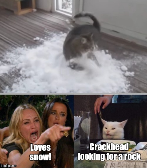 Loves snow! Crackhead looking for a rock | image tagged in memes,woman yelling at cat | made w/ Imgflip meme maker