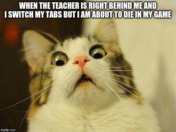 Scared Cat | WHEN THE TEACHER IS RIGHT BEHIND ME AND I SWITCH MY TABS BUT I AM ABOUT TO DIE IN MY GAME | image tagged in memes,scared cat | made w/ Imgflip meme maker