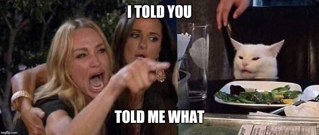 woman yelling at cat | I TOLD YOU; TOLD ME WHAT | image tagged in woman yelling at cat | made w/ Imgflip meme maker