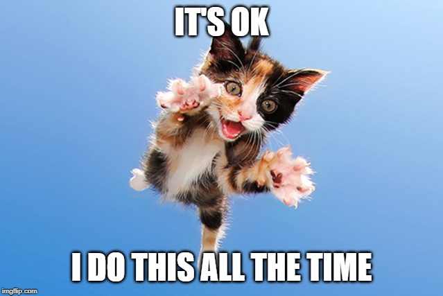 Cat Jumping | IT'S OK I DO THIS ALL THE TIME | image tagged in cat jumping | made w/ Imgflip meme maker