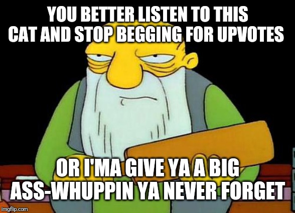 That's a paddlin' | YOU BETTER LISTEN TO THIS CAT AND STOP BEGGING FOR UPVOTES; OR I'MA GIVE YA A BIG ASS-WHUPPIN YA NEVER FORGET | image tagged in memes,that's a paddlin',funny memes,dank memes,savage memes,funny | made w/ Imgflip meme maker