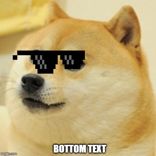 Doge Meme | BOTTOM TEXT | image tagged in memes,doge | made w/ Imgflip meme maker