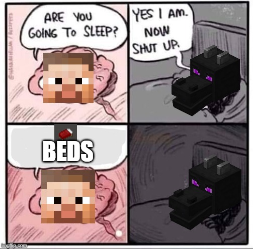 Are you going to sleep? | BEDS | image tagged in are you going to sleep | made w/ Imgflip meme maker