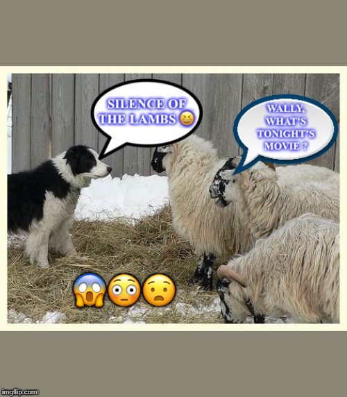 Scared sheep | 😱😳😧 | image tagged in silence of the lambs | made w/ Imgflip meme maker