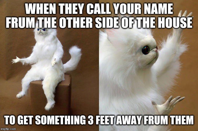 Persian Cat Room Guardian Meme | WHEN THEY CALL YOUR NAME FROM THE OTHER SIDE OF THE HOUSE; TO GET SOMETHING 3 FEET AWAY FRUM THEM | image tagged in memes,persian cat room guardian | made w/ Imgflip meme maker