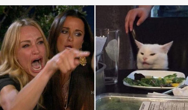 Drunk lady and cat Blank Meme Template