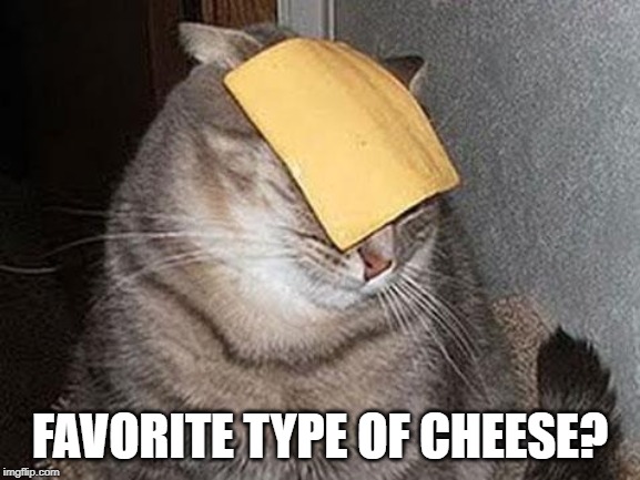 Name your top 3. Mine are extra sharp white cheddar, pepperjack, and parmagiano reggiano. | FAVORITE TYPE OF CHEESE? | image tagged in cats with cheese | made w/ Imgflip meme maker