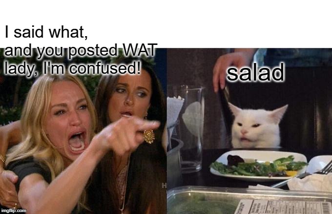 Woman Yelling At Cat Meme | I said what, and you posted WAT lady, I'm confused! salad | image tagged in memes,woman yelling at cat | made w/ Imgflip meme maker