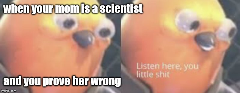 Listen here you little shit bird |  when your mom is a scientist; and you prove her wrong | image tagged in listen here you little shit bird | made w/ Imgflip meme maker