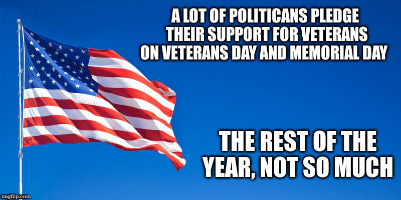 Veterans Day Patriotism | image tagged in veterans day,memorial day,american flag,veterans,politicians | made w/ Imgflip meme maker