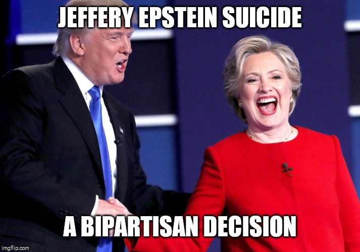 Bipartisan Decision | JEFFERY EPSTEIN SUICIDE; A BIPARTISAN DECISION | image tagged in politics,jeffrey epstein | made w/ Imgflip meme maker
