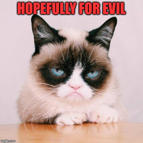 grumpy cat again | HOPEFULLY FOR EVIL | image tagged in grumpy cat again | made w/ Imgflip meme maker