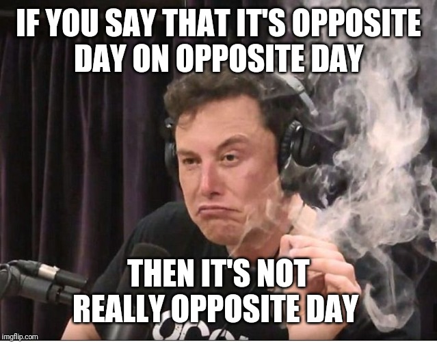 Elon Musk smoking a joint | IF YOU SAY THAT IT'S OPPOSITE
DAY ON OPPOSITE DAY; THEN IT'S NOT REALLY OPPOSITE DAY | image tagged in elon musk smoking a joint | made w/ Imgflip meme maker