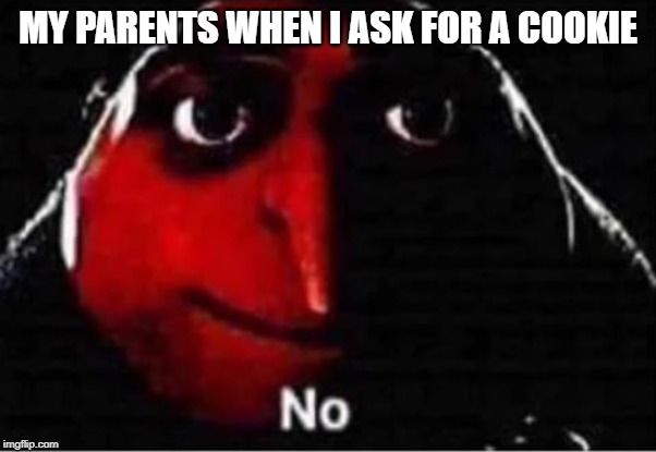 Gru No | MY PARENTS WHEN I ASK FOR A COOKIE | image tagged in gru no | made w/ Imgflip meme maker