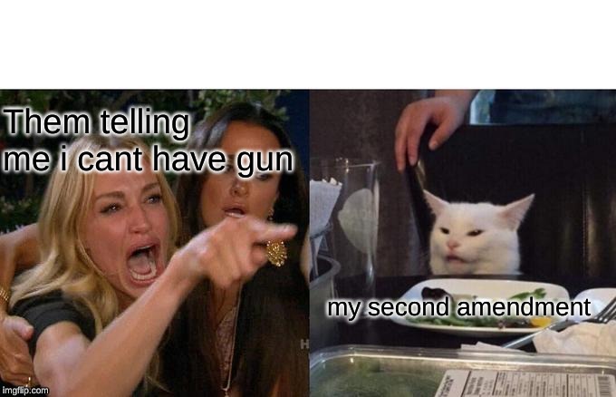 Woman Yelling At Cat Meme | Them telling me i cant have gun; my second amendment | image tagged in memes,woman yelling at cat | made w/ Imgflip meme maker