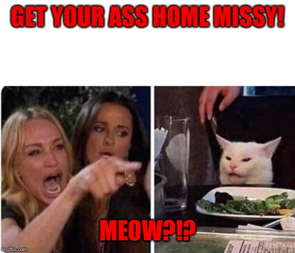 Lady screams at cat | GET YOUR ASS HOME MISSY! MEOW?!? | image tagged in lady screams at cat,get your butt home,get your ass home | made w/ Imgflip meme maker