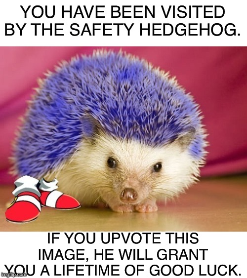 Safety Hedgehogs Will Protect You | YOU HAVE BEEN VISITED BY THE SAFETY HEDGEHOG. IF YOU UPVOTE THIS IMAGE, HE WILL GRANT YOU A LIFETIME OF GOOD LUCK. | image tagged in safety,hedgehog,upvote,good luck | made w/ Imgflip meme maker