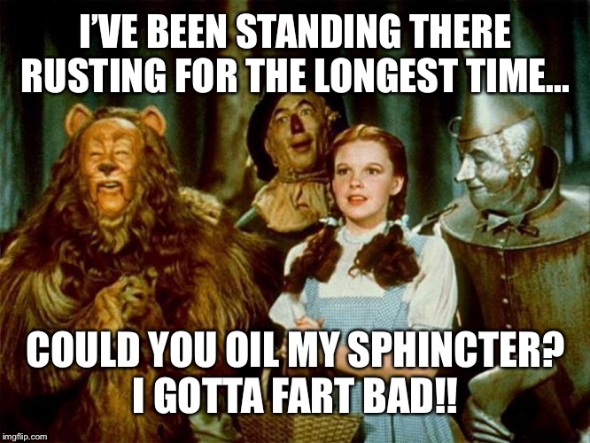 Wizzin in Oz | I’VE BEEN STANDING THERE RUSTING FOR THE LONGEST TIME... COULD YOU OIL MY SPHINCTER?
I GOTTA FART BAD!! | image tagged in wizard of oz,fart,dorothy,tin man,scarecrow,toto | made w/ Imgflip meme maker