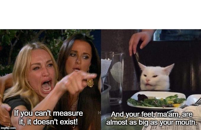 Woman Yelling At Cat Meme | And your feet, ma'am, are almost as big as your mouth. If you can't measure it, it doesn't exist! | image tagged in memes,woman yelling at cat | made w/ Imgflip meme maker
