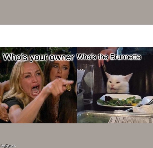 Woman Yelling At Cat Meme | Who’s your owner; Who’s the Brunette | image tagged in memes,woman yelling at cat | made w/ Imgflip meme maker