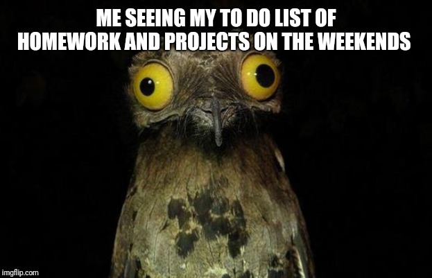 Weird Stuff I Do Potoo | ME SEEING MY TO DO LIST OF HOMEWORK AND PROJECTS ON THE WEEKENDS | image tagged in memes,weird stuff i do potoo | made w/ Imgflip meme maker