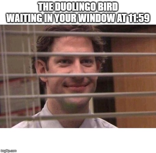 Jim Office Blinds | THE DUOLINGO BIRD WAITING IN YOUR WINDOW AT 11:59 | image tagged in jim office blinds | made w/ Imgflip meme maker