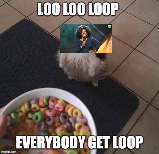 Loops Brother | LOO LOO LOOP; EVERYBODY GET LOOP | image tagged in loops brother,cats | made w/ Imgflip meme maker