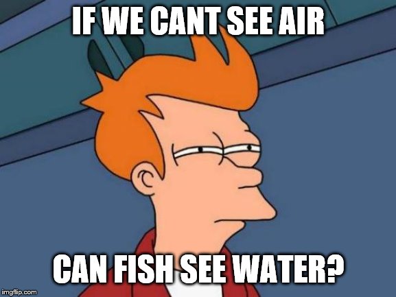 Futurama Fry Meme | IF WE CANT SEE AIR; CAN FISH SEE WATER? | image tagged in memes,futurama fry | made w/ Imgflip meme maker
