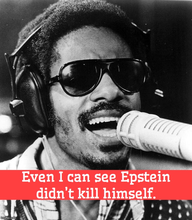 Stevie Wonder Speaks Facts | image tagged in jeffrey epstein,epstein,epsteindidntkillhimself | made w/ Imgflip meme maker