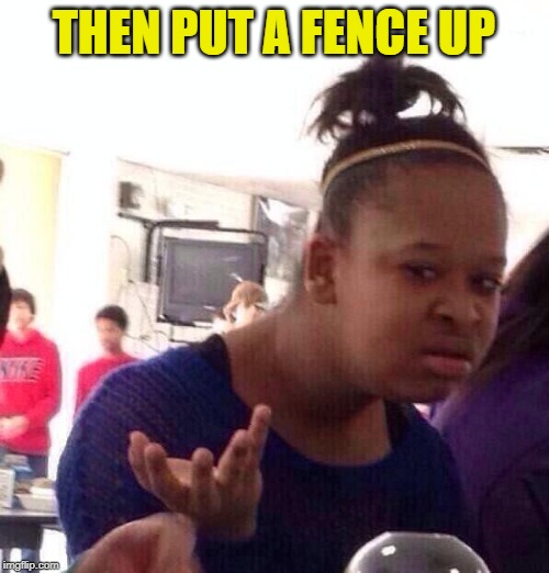 Black Girl Wat Meme | THEN PUT A FENCE UP | image tagged in memes,black girl wat | made w/ Imgflip meme maker