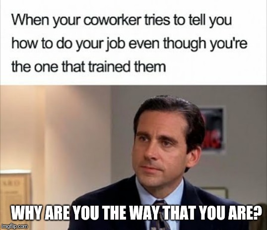Coworkers ya know? |  WHY ARE YOU THE WAY THAT YOU ARE? | image tagged in work,job,coworkers,michael scott,the office | made w/ Imgflip meme maker