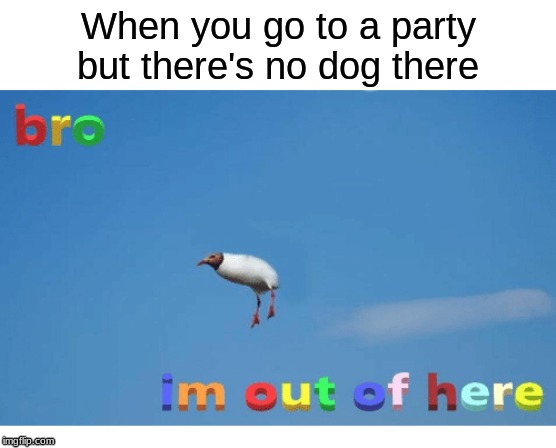 B R O ,  I M   O U T T A    H E R E | When you go to a party but there's no dog there | image tagged in bro i'm out of here,dank memes,memes | made w/ Imgflip meme maker