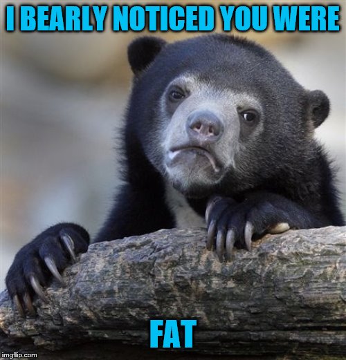 Confession Bear Meme |  I BEARLY NOTICED YOU WERE; FAT | image tagged in memes,confession bear | made w/ Imgflip meme maker